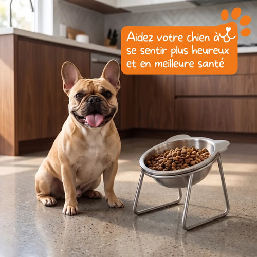 https://cdn.dropmagic.ai/medias/febf8838-473c-4b4d-a3ec-91fe8bd6fcab.webp